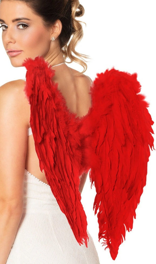 Ailes Rouges Plumes
