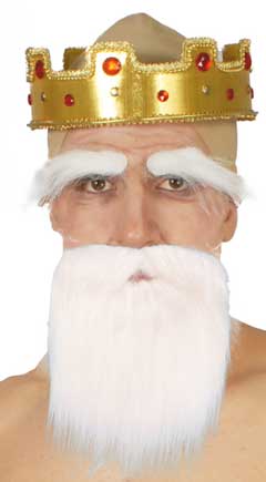 Barbe Moustache Blanche