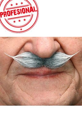 Moustache Grise Professionnelle