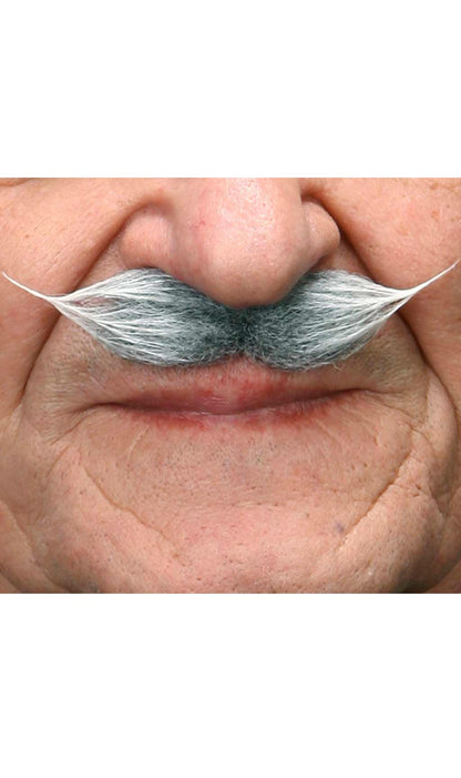 Moustache Grise Professionnelle