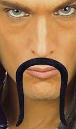 Moustache Samouraï