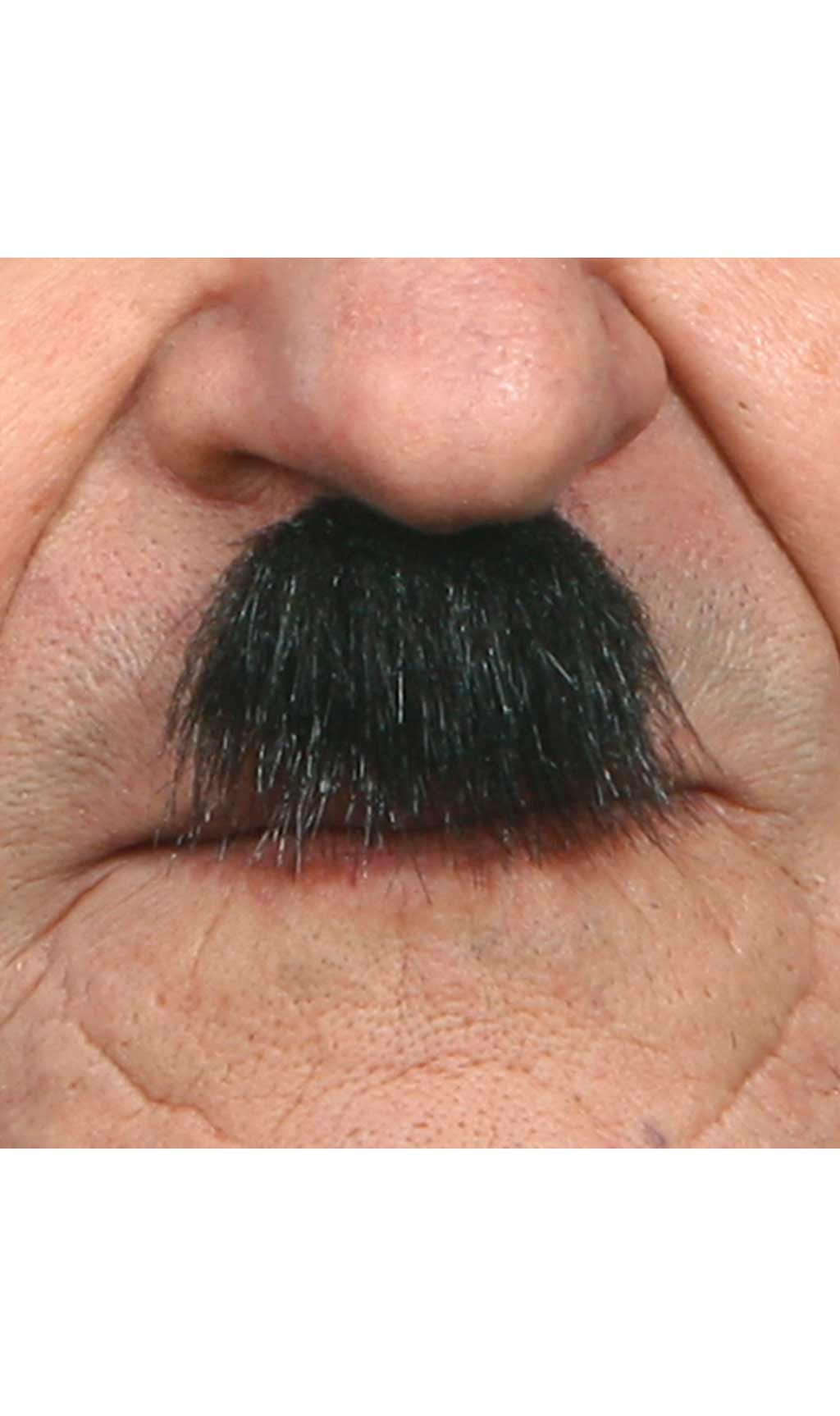 Moustache Noire Professionnelle 001-SE