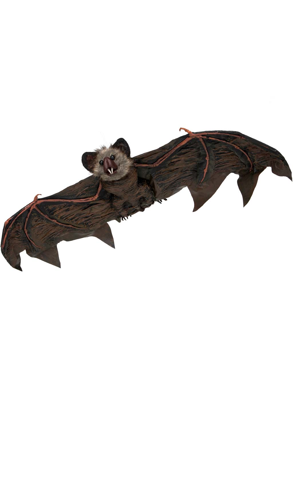 Décoration de Chauve-Souris Sinistre