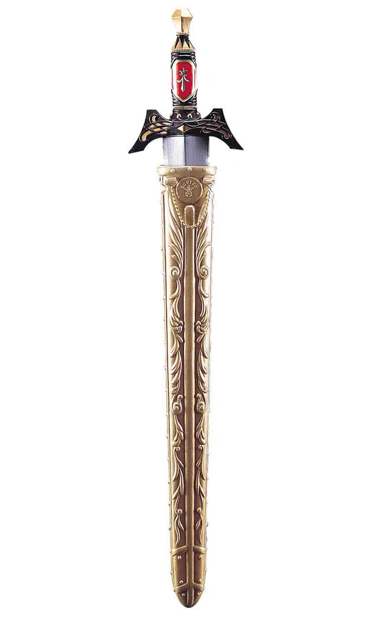 Épée Médiévale à Gravures avec Étui