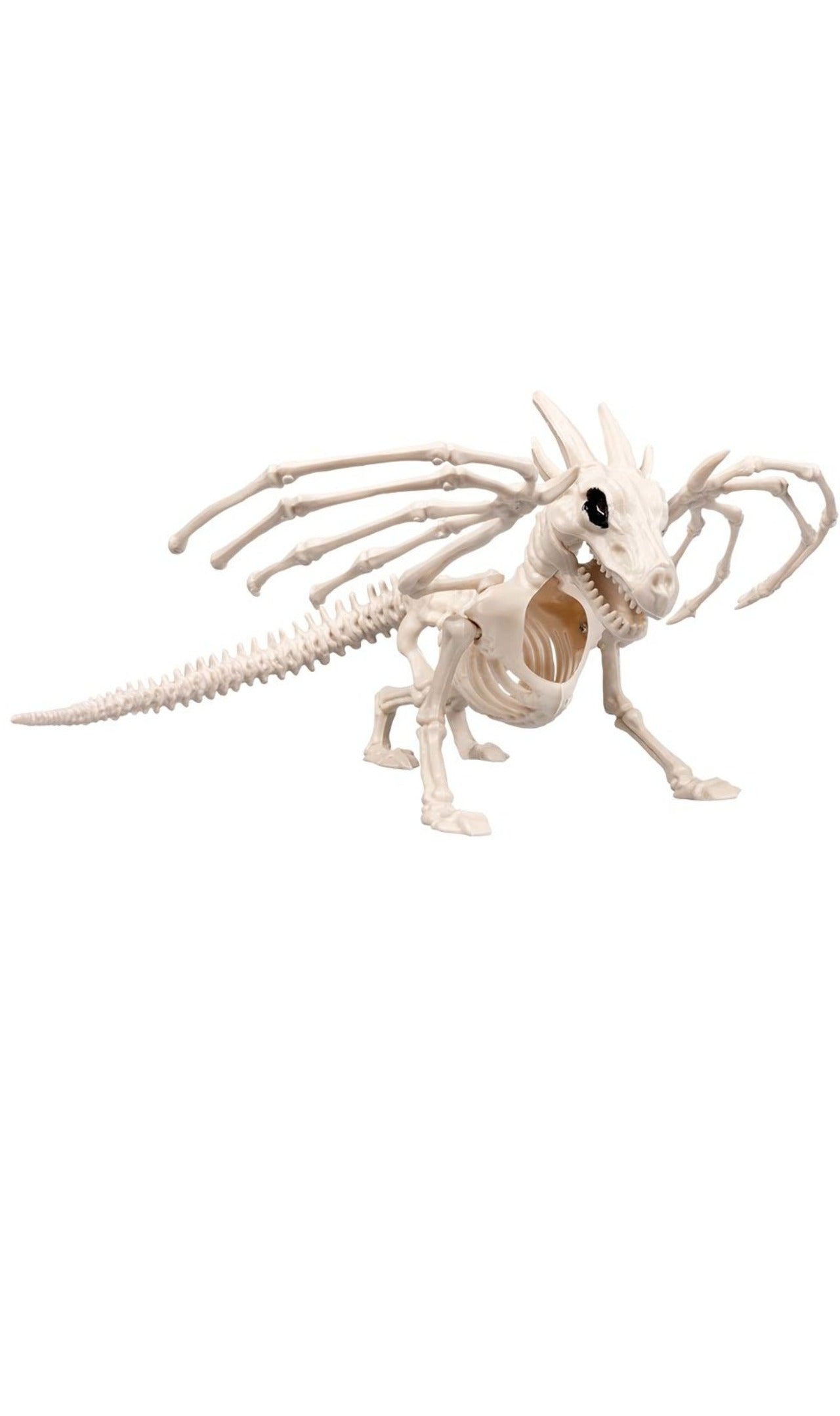 Squelette de dragon