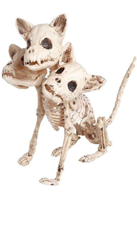 Squelette de chien à trois têtes