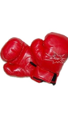 Gants Boxeur