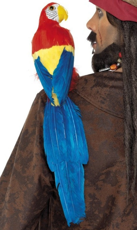 Perroquet Multicolore