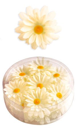 Marguerites Décoratives