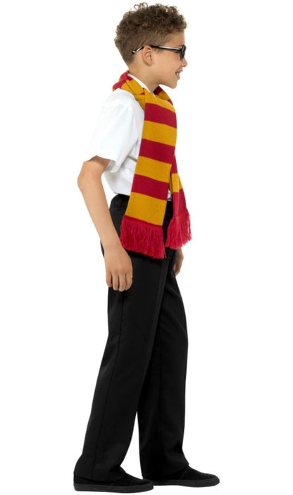 Set de Magicien Harry pour enfant