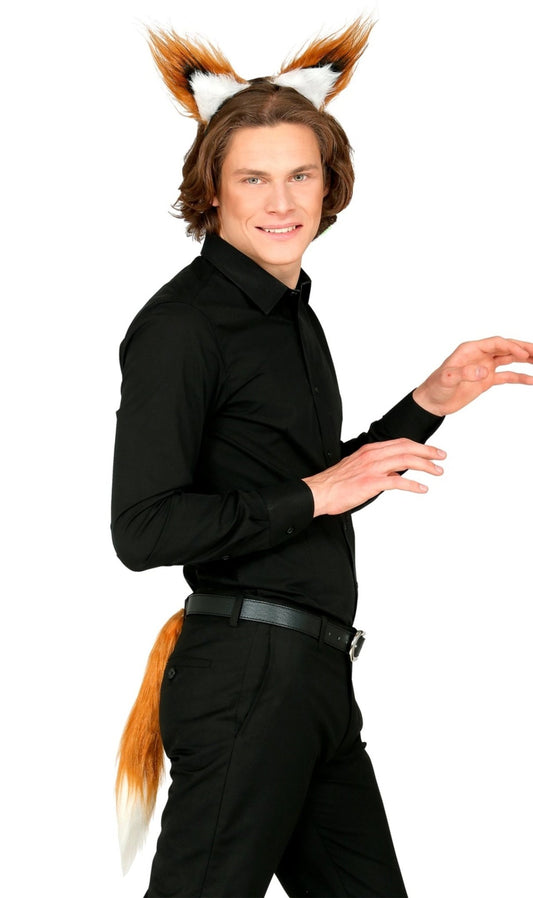 Kit de Renard Vulpes